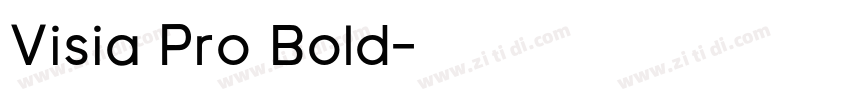 Visia Pro Bold字体转换